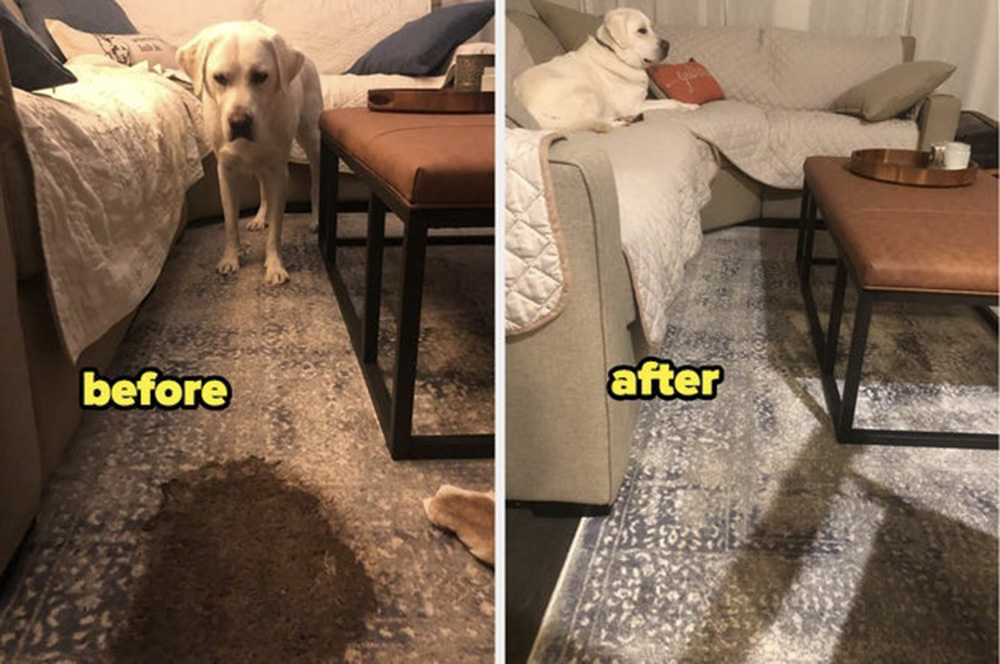 Before and After Pee Buster